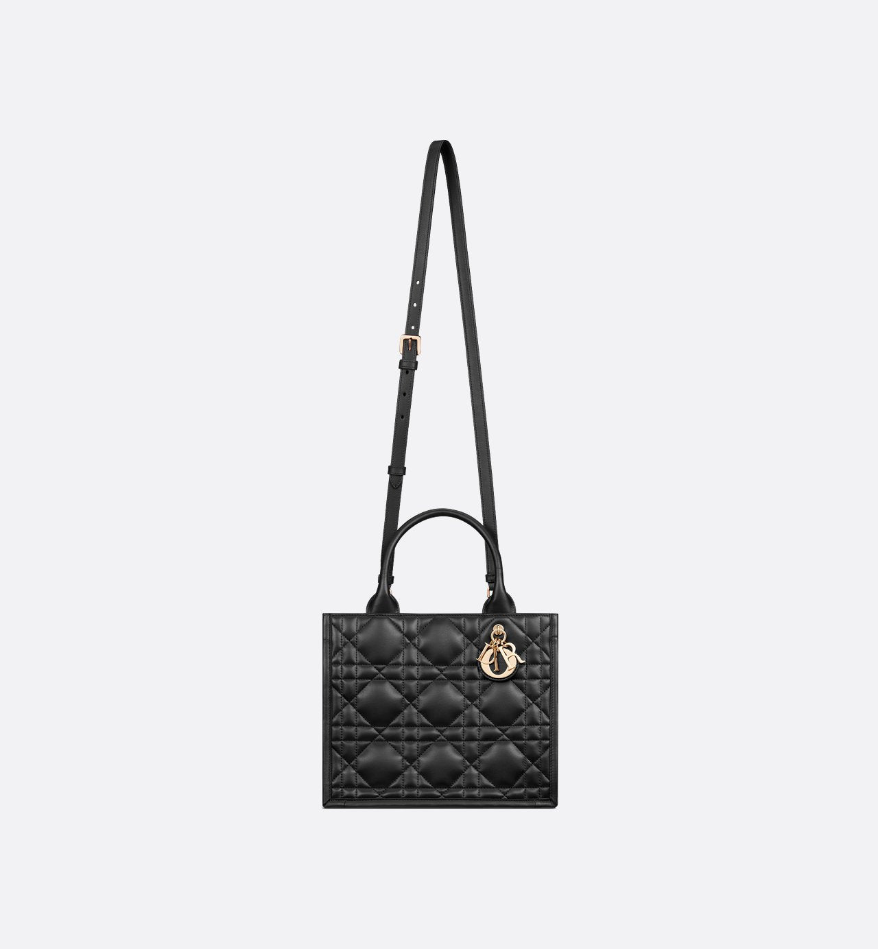 Sac Dior Book Tote Small