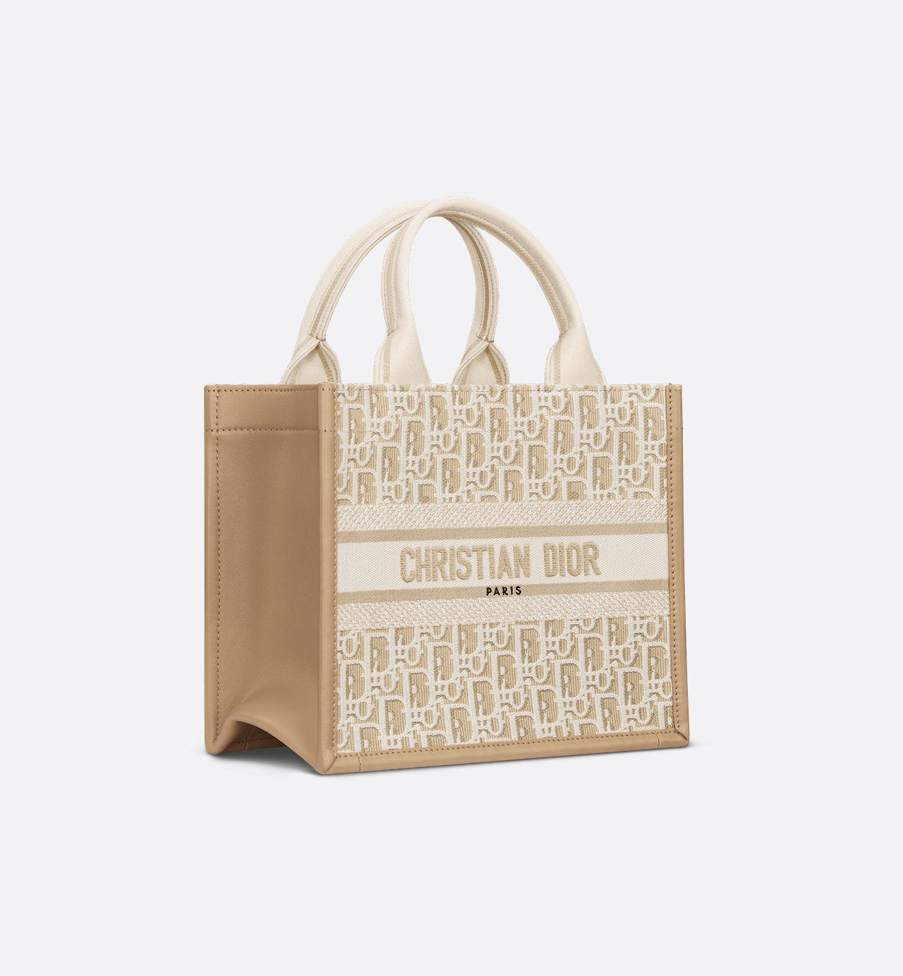 Sac Dior Book Tote Small