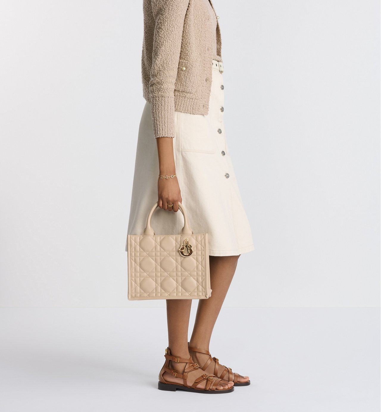 Sac Dior Book Tote Small