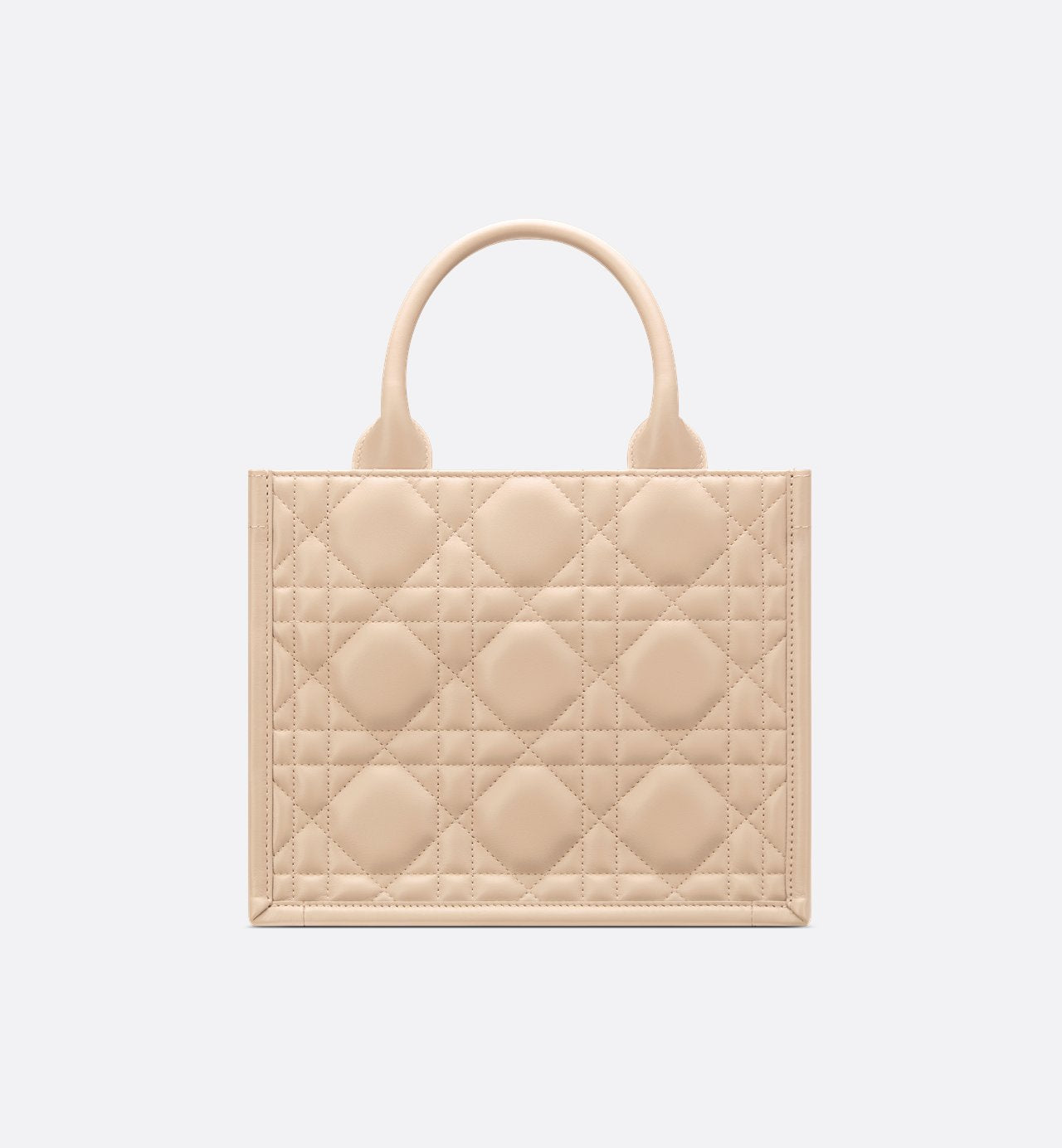 Sac Dior Book Tote Small