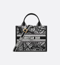 Sac Dior Book Tote Small