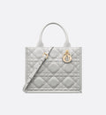Sac Dior Book Tote Small