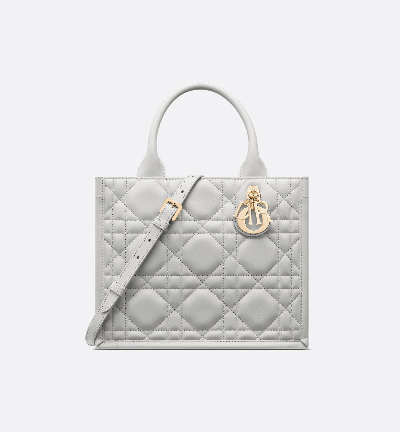 Sac Dior Book Tote Small