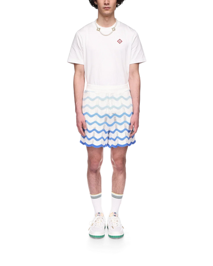 Wavy Gradient Crochet Shorts